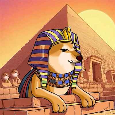 1000CHEEMS COIN TEST COIN 3